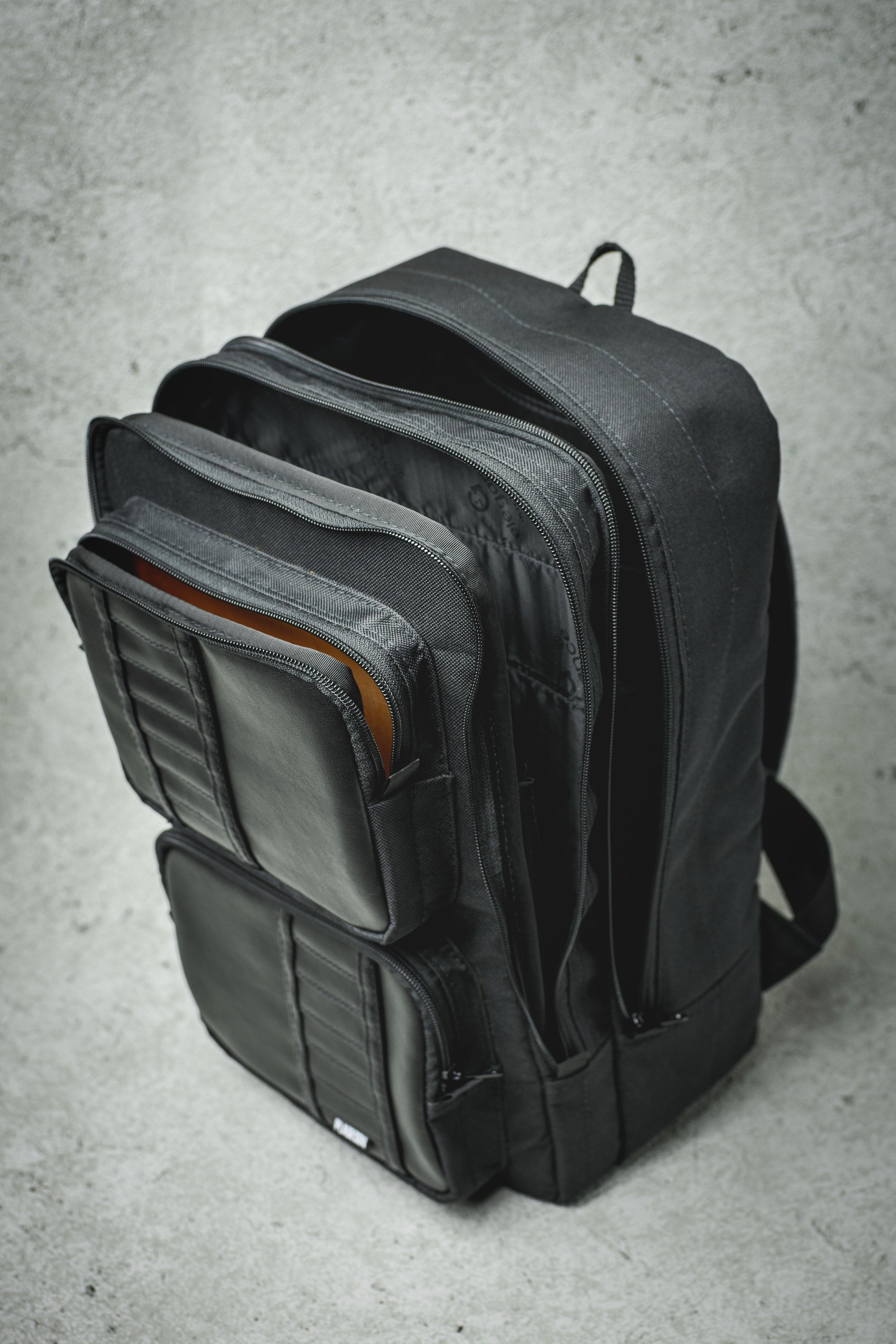 Backpack. Rucksack. Computerfach
